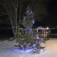 Парк-отель Домики у пляжа, Осташков, Тверская область