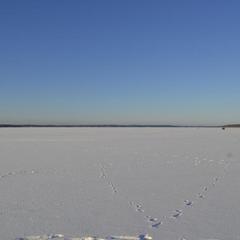 Парк-отель Домики у пляжа, Осташков, Тверская область