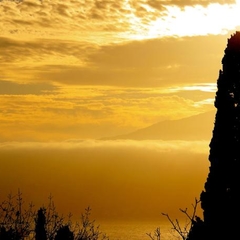 Вилла Вилла Даниэль, Отрадное, Калининградская область