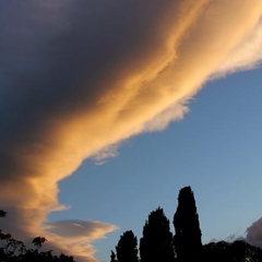 Вилла Вилла Даниэль, Отрадное, Калининградская область