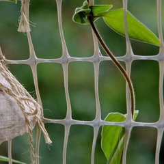 Вилла Вилла Даниэль, Отрадное, Калининградская область