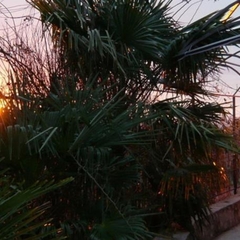 Мини-гостиница Август, Отрадное, Калининградская область