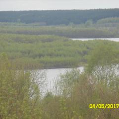 Гостиница МУП Гостиница Ока, Павлово, Нижегородская область