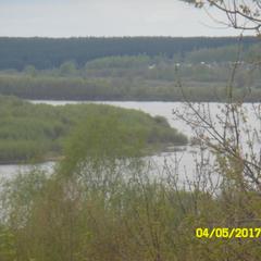 Гостиница МУП Гостиница Ока, Павлово, Нижегородская область