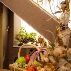 Гостиница Дон Отель, Павловская, Краснодарский край