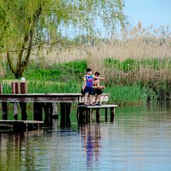База отдыха Казачий Хуторок, Павловская, Краснодарский край