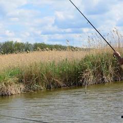 База отдыха Казачий Хуторок, Павловская, Краснодарский край