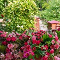 Гостевой дом Смирновых, Павловская, Краснодарский край