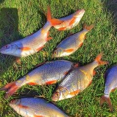 База отдыха Казачий Хуторок, Павловская, Краснодарский край