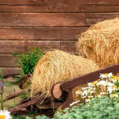 База отдыха Казачий Хуторок, Павловская, Краснодарский край