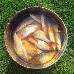 База отдыха Казачий Хуторок, Павловская, Краснодарский край