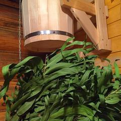 База отдыха Казачий Хуторок, Павловская, Краснодарский край