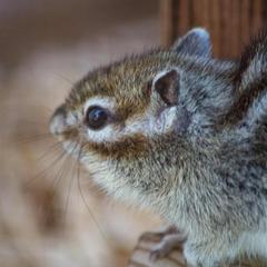 База отдыха Казачий Хуторок, Павловская, Краснодарский край