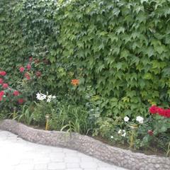 Отель Санрайз, Партенит, Крым