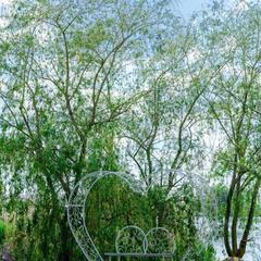 База отдыха Казачий Хуторок, Павловская, Краснодарский край