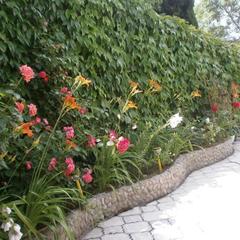 Отель Санрайз, Партенит, Крым