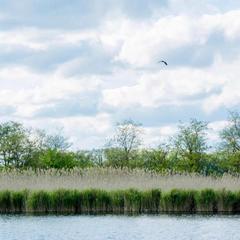 База отдыха Казачий Хуторок, Павловская, Краснодарский край