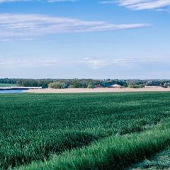 База отдыха Казачий Хуторок, Павловская, Краснодарский край