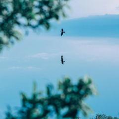 База отдыха Казачий Хуторок, Павловская, Краснодарский край