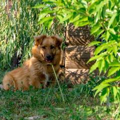 База отдыха Казачий Хуторок, Павловская, Краснодарский край