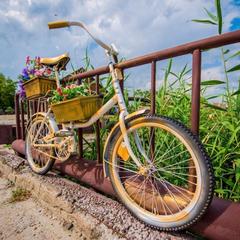 База отдыха Казачий Хуторок, Павловская, Краснодарский край