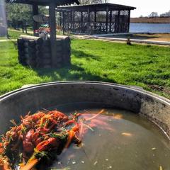 База отдыха Казачий Хуторок, Павловская, Краснодарский край