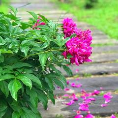 База отдыха Казачий Хуторок, Павловская, Краснодарский край