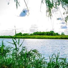 База отдыха Казачий Хуторок, Павловская, Краснодарский край