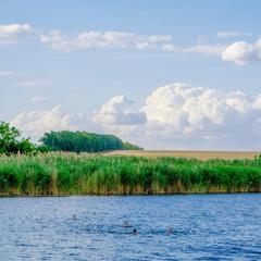 База отдыха Казачий Хуторок, Павловская, Краснодарский край