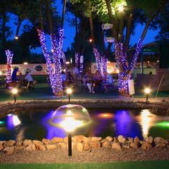 Гостиница Изумрудный город, Пенза, Пензенская область