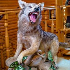 База отдыха Казачий Хуторок, Павловская, Краснодарский край