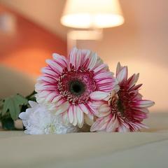 Отель HELIOPARK Residence, Пенза, Пензенская область