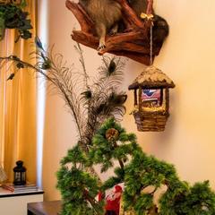 База отдыха Казачий Хуторок, Павловская, Краснодарский край