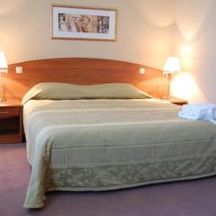 Отель HELIOPARK Residence, Пенза, Пензенская область