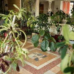 Отель Ласточка, Пенза, Пензенская область