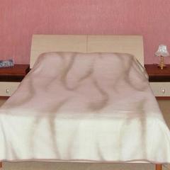 Гостиница Замок, Пенза, Пензенская область