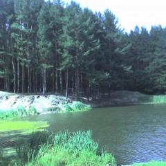 Отель Ласточка, Пенза, Пензенская область