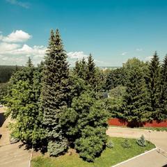 Отель Ласточка, Пенза, Пензенская область