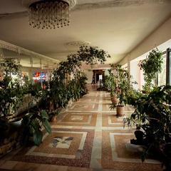 Отель Ласточка, Пенза, Пензенская область