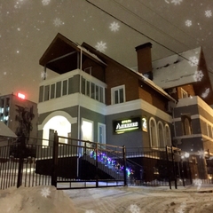 Гостиница Алексес, Пенза, Пензенская область