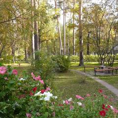 Санаторий Серебряный Бор, Пенза, Пензенская область