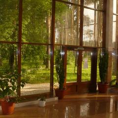 Санаторий Серебряный Бор, Пенза, Пензенская область