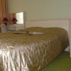 Санаторий Серебряный Бор, Пенза, Пензенская область