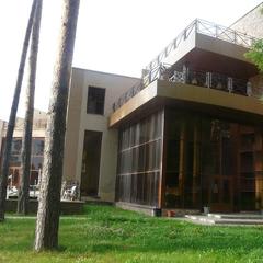 Санаторий Серебряный Бор, Пенза, Пензенская область