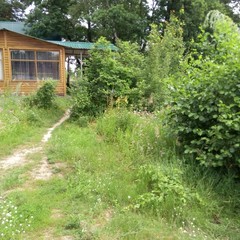 База отдыха Светлая поляна, Пенза, Пензенская область