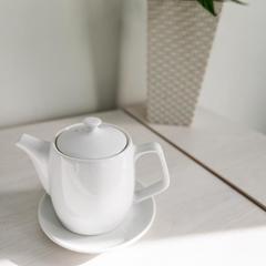 Отель Есебуа, Пенза, Пензенская область