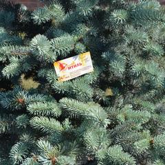 Гостиничный комплекс Итиль, Переволоки, Самарская область