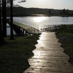 База отдыха Светофор, Первоуральск, Свердловская область