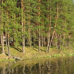 База отдыха Светофор, Первоуральск, Свердловская область