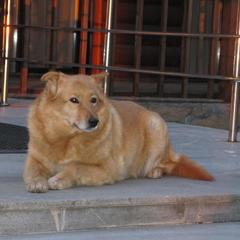 База отдыха Светофор, Первоуральск, Свердловская область